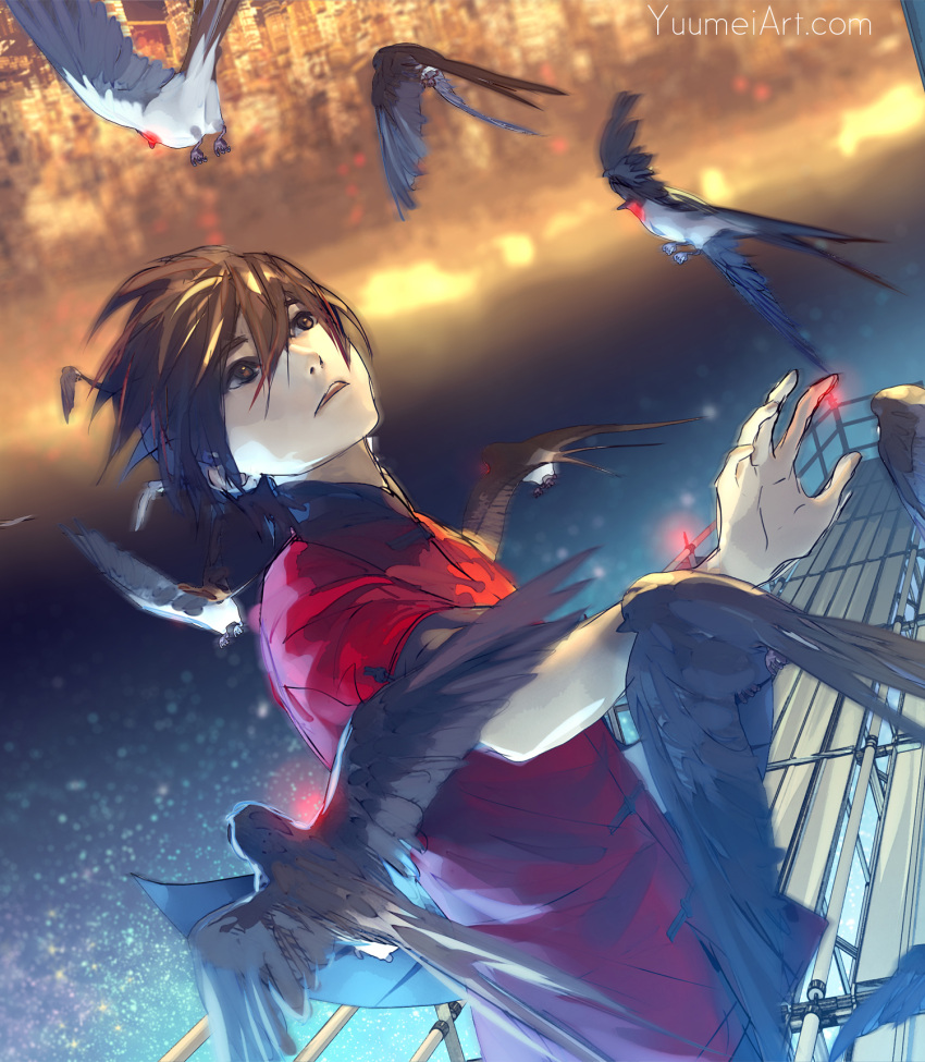 1boy bird black_hair blurry blurry_background brown_eyes chinese_clothes city dutch_angle highres knite looking_up night sky solo star_(sky) starry_sky swallow watermark web_address wenqing_yan