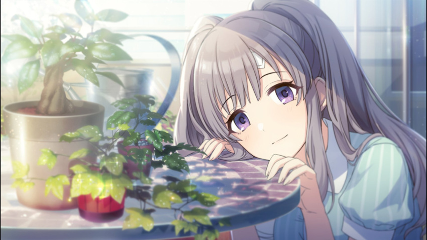 1girl bandaid blue_dress blush closed_mouth commentary dress eyebrows_visible_through_hair grey_hair head_on_table highres idolmaster idolmaster_shiny_colors long_hair looking_at_viewer plant potted_plant puffy_short_sleeves puffy_sleeves short_sleeves smile solo squatting sunlight table takeshi_moba twintails violet_eyes yuukoku_kiriko