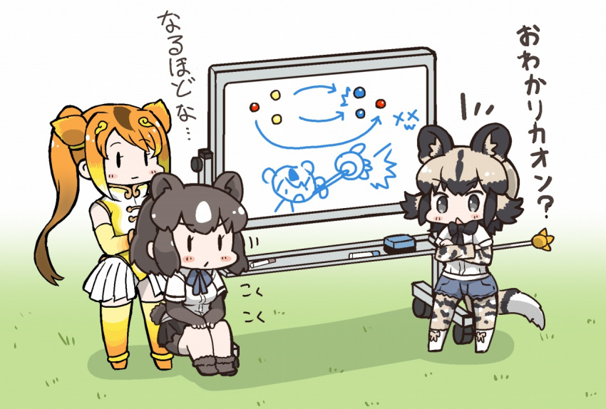 3girls african_wild_dog_(kemono_friends) animal_ears bear_ears bow bowtie brown_bear_(kemono_friends) chibi circlet commentary_request dog_ears dog_tail elbow_gloves gloves golden_snub-nosed_monkey_(kemono_friends) kemono_friends kemono_friends_pavilion leotard long_hair long_sleeves marker monkey_ears monkey_tail multicolored_hair multiple_girls open_mouth ponytail shirt short_hair short_sleeves shorts skirt tail tanaka_kusao thigh-highs translation_request whiteboard