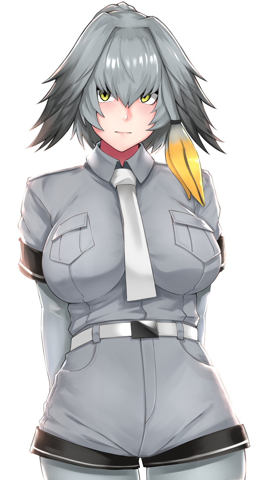 1girl absurdres arms_behind_back bangs belt black_hair bodystocking breast_pocket breasts bright_background closed_mouth collared_shirt grey_hair grey_shirt grey_shorts hair_ornament hairclip highres impossible_clothes impossible_shirt kemono_friends large_breasts long_hair looking_at_viewer low_ponytail multicolored_hair necktie orange_hair pantyhose pocket shiny shiny_hair shirt shirt_tucked_in shoebill_(kemono_friends) shorts side_ponytail solo standing upper_body white_neckwear wing_collar yashichii yellow_eyes