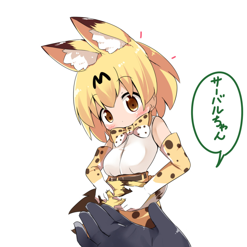 1girl animal_ears bangs belt blonde_hair blush bow bowtie brown_belt brown_eyes check_translation closed_mouth elbow_gloves eyebrows_visible_through_hair gloves hair_between_eyes high-waist_skirt highres holding_own_tail kemono_friends looking_at_viewer makuran print_gloves print_neckwear print_skirt serval_(kemono_friends) serval_ears serval_print serval_tail shirt short_hair simple_background skirt sleeveless sleeveless_shirt solo_focus striped_tail tail translation_request white_background white_shirt