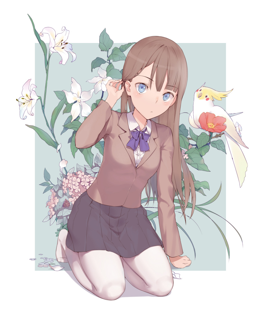 1girl arm_support bangs bird black_skirt blazer blue_bow blue_eyes blunt_bangs bow brown_hair brown_jacket cockatoo eyebrows_visible_through_hair flower full_body hair_tucking highres jacket long_hair long_sleeves looking_at_viewer miniskirt original pantyhose petals pleated_skirt school_uniform seiza shirt sitting skirt solo virtu.al white_legwear white_shirt