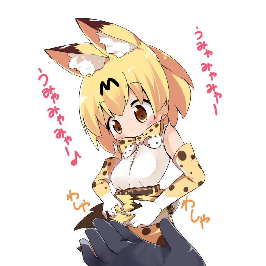 1girl animal_ears bangs belt blonde_hair blush bow bowtie brown_belt brown_eyes closed_mouth commentary_request elbow_gloves eyebrows_visible_through_hair gloves hair_between_eyes high-waist_skirt highres holding_own_tail kemono_friends looking_away makuran print_gloves print_neckwear print_skirt serval_(kemono_friends) serval_ears serval_print serval_tail shirt short_hair simple_background skirt sleeveless sleeveless_shirt solo_focus striped_tail tail translation_request white_background white_shirt