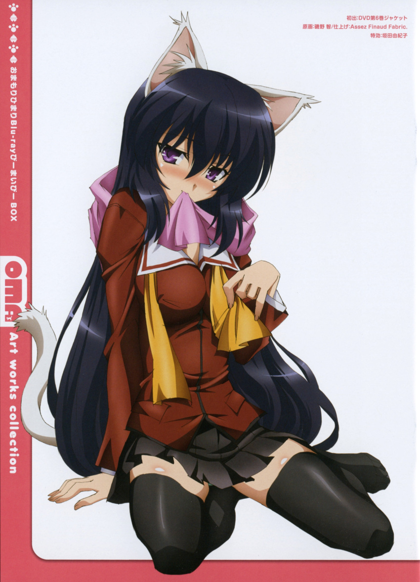 1girl absurdres animal_ears arm_support black_legwear blue_hair blush breasts cat_ears cat_tail cleavage cover dvd_cover highres isono_satoshi large_breasts long_hair mouth_hold naughty_face noihara_himari official_art omamori_himari scan school_uniform seductive_smile sitting skirt smile solo tail thigh-highs underwear very_long_hair violet_eyes zettai_ryouiki