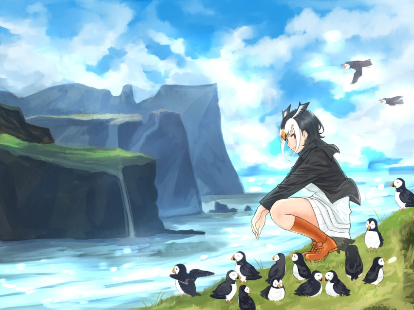 1girl atlantic_puffin_(kemono_friends) black_hair blush boots brown_footwear day kemono_friends knee_boots looking_at_viewer multicolored_hair orange_hair outdoors parted_lips red_eyes sarada_doraivu scenery short_hair squatting white_hair