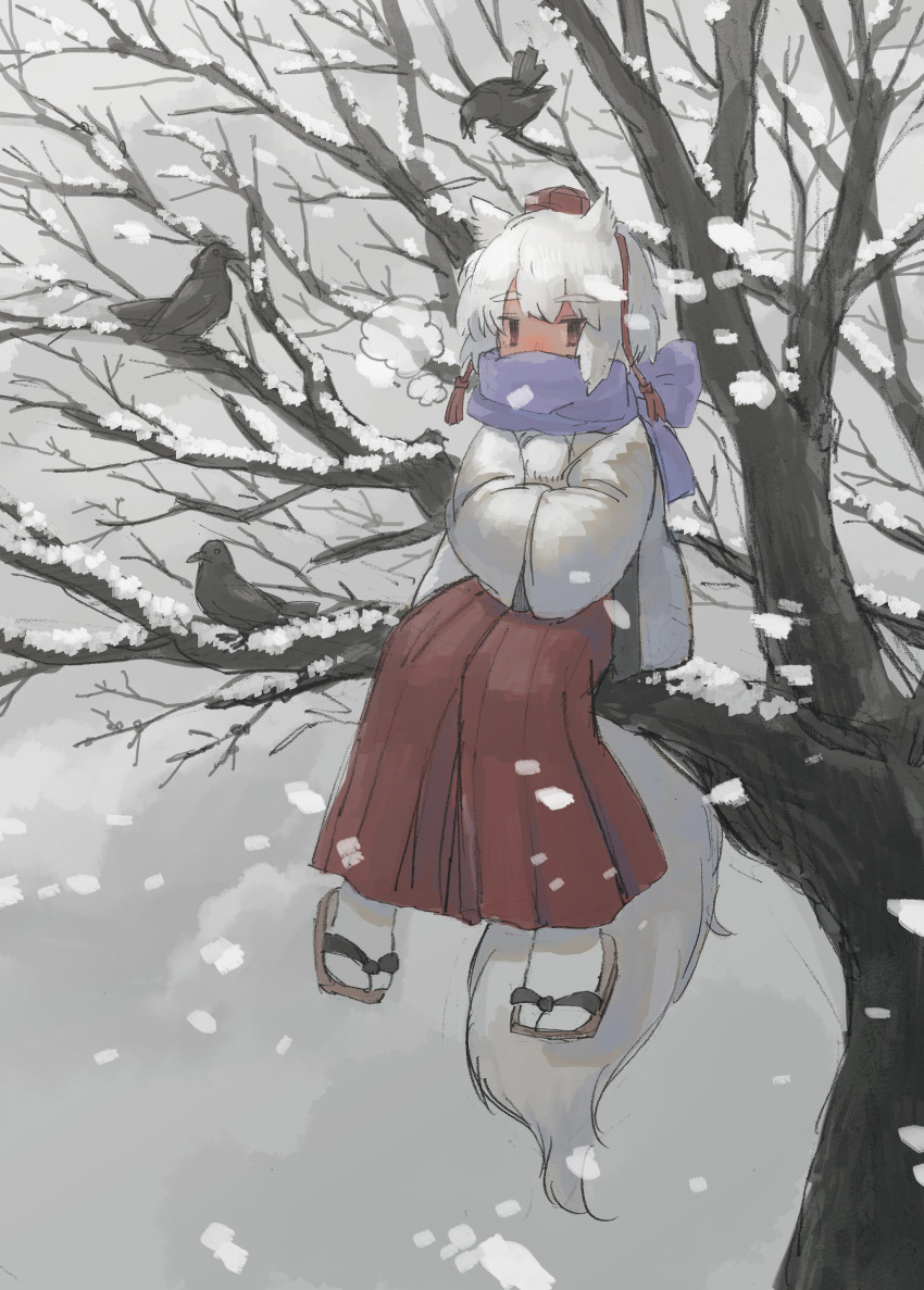 1girl absurdres animal_ears bird cold crow hat highres in_tree inubashiri_momiji pants pororikin red_eyes red_hat red_pants sandals scarf sitting sitting_in_tree snow snowing tail touhou tree white_hair wolf_ears wolf_tail