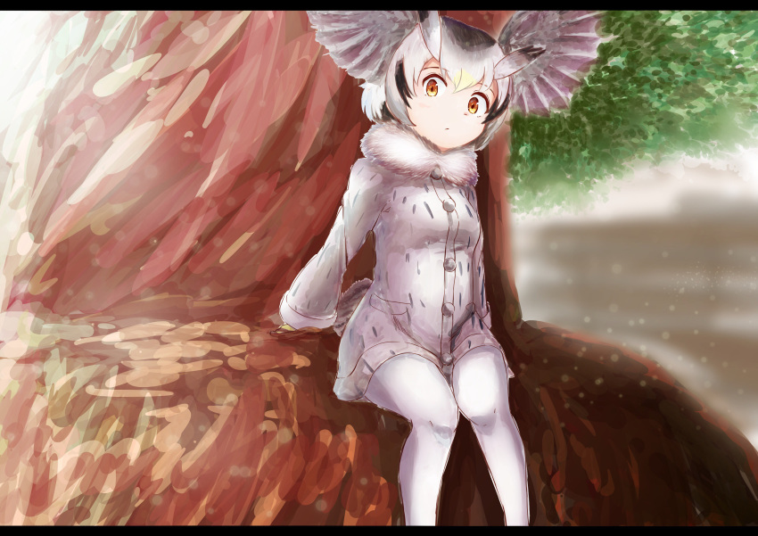 1girl absurdres blonde_hair commentary frame fur_collar gloves grey_coat grey_hair head_wings highres in_tree kemono_friends long_sleeves looking_at_viewer multicolored_hair northern_white-faced_owl_(kemono_friends) pantyhose short_hair sitting sitting_in_tree solo tail_feathers tamiku_(shisyamo609) tree white_hair white_legwear yellow_eyes yellow_gloves