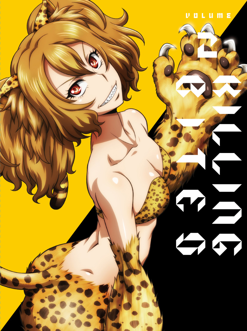 1girl animal_ears bikini_top brown_hair cat_ears cat_tail claws collarbone copyright_name cover cover_page fur grin highres killing_bites looking_at_viewer manga_cover nakanishi_eruza official_art orange_(color) paws red_eyes sharp_teeth smile solo tail teeth twintails v-shaped_eyebrows watanabe_kazuo