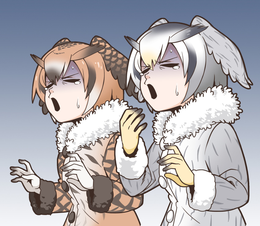 2girls brown_hair disgust eurasian_eagle_owl_(kemono_friends) fluffy_collar gradient gradient_background grey_hair head_wings highres hollow_eyes kemono_friends multicolored_hair multiple_girls northern_white-faced_owl_(kemono_friends) open_mouth suzushiro_(suzushiro333) sweatdrop white_hair