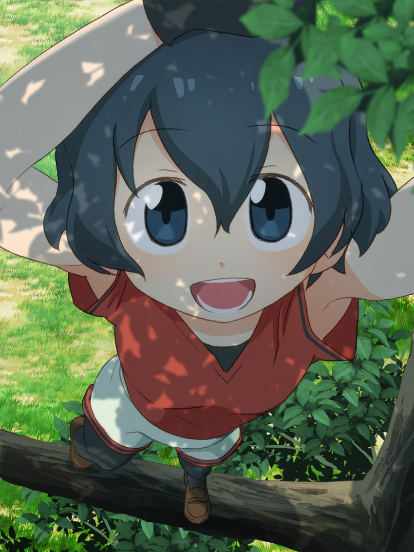 1girl :d armpits arms_up black_gloves black_hair blue_eyes blue_hair commentary_request day eyebrows_visible_through_hair from_above gloves grass hair_between_eyes highres in_tree kaban_(kemono_friends) kemono_friends leaf looking_at_viewer open_mouth outdoors pantyhose pantyhose_under_shorts red_shirt sat-c shirt short_hair shorts smile solo standing tree