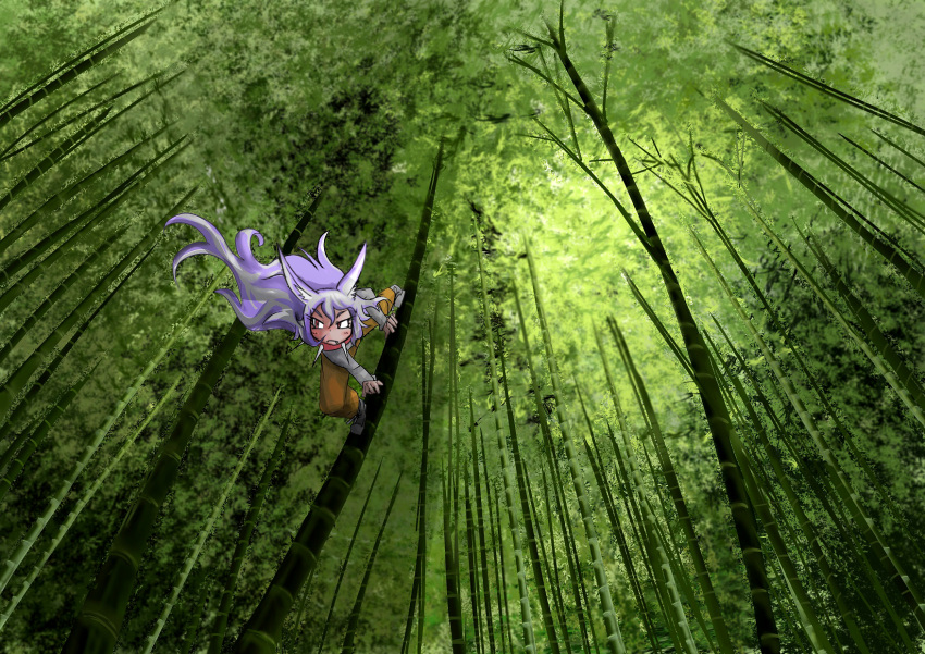 1girl animal_ears bamboo bamboo_forest black_footwear brown_pants collar dog_child_(doitsuken) dog_ears dog_tail doitsuken fang forest grey_shirt highres long_sleeves looking_up nature original pants scenery shirt solo spiked_collar spikes tail tree