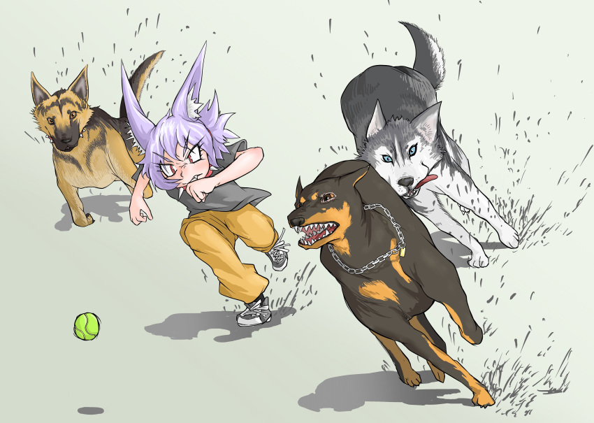 1girl ball chains closed_mouth collar dirt doberman dog dog_child_(doitsuken) dog_request doitsuken eyebrows_visible_through_hair fang fang_out grey_background grey_footwear grey_shirt highres husky orange_pants original pants purple_hair red_eyes running shirt shoes short_hair short_sleeves slit_pupils spiked_collar spikes tennis_ball