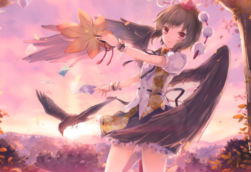 1girl 6u_(eternal_land) absurdres black_skirt black_wings brown_hair crown day feathered_wings floating_hair frilled_skirt frills highres holding holding_leaf huge_filesize leaf long_hair miniskirt outdoors outstretched_arms parted_lips red_eyes shameimaru_aya shirt short_hair short_sleeves skirt smile socks solo touhou white_legwear white_shirt wings wrist_cuffs