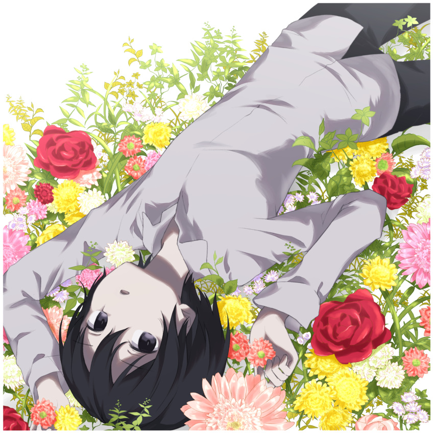 1girl :o absurdres androgynous arms_up black_eyes black_hair black_pants collared_shirt commentary_request dress_shirt eyebrows_visible_through_hair flower grey_shirt hair_between_eyes highres kino kino_no_tabi long_sleeves looking_at_viewer lying open_mouth pants partial_commentary red_flower red_rose rose sakurano_itsuki shirt short_hair solo tomboy upside-down white_border