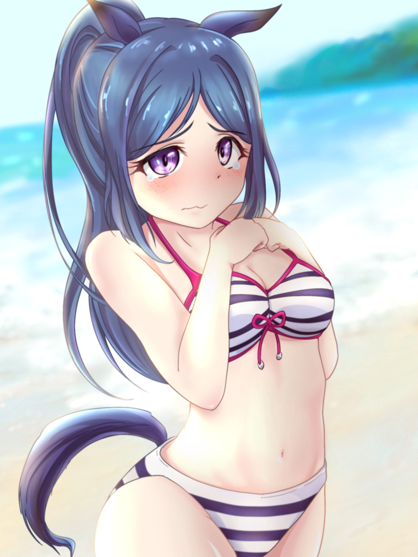 1girl animal_ears beach bikini blue_eyes blurry blurry_background blush breasts cleavage clenched_hands closed_mouth eyebrows_visible_through_hair halterneck hands_on_own_chest highres horse_ears horse_tail kemonomimi_mode long_hair love_live! love_live!_sunshine!! matsuura_kanan midriff navel ocean omoi_seiji ponytail sidelocks solo striped striped_bikini swimsuit tail tearing_up umamusume violet_eyes wavy_mouth