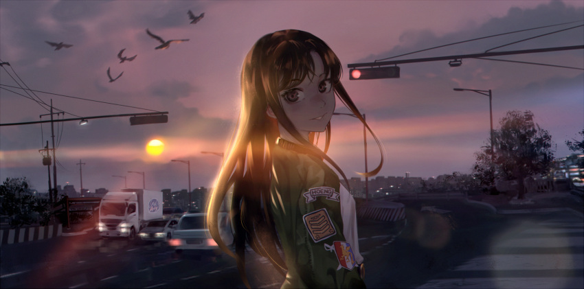 1girl belt bird brown_eyes brown_hair car clouds cloudy_sky crosswalk green_jacket ground_vehicle highres jacket lens_flare litra_(ltr0312) long_hair long_sleeves looking_at_viewer looking_back motion_blur motor_vehicle open_clothes open_jacket original outdoors parted_lips road road_sign shirt sign sky smile solo sun sunset traffic traffic_light tree white_shirt