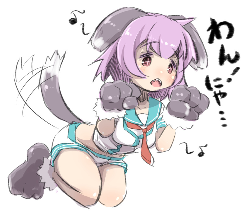 +_+ 1girl afterimage animal_ears blue_sailor_collar blush breasts collarbone commentary_request dog_ears dog_girl dog_tail eighth_note full_body gloves hands_up kantai_collection kemonomimi_mode looking_away medium_breasts musical_note necktie open_mouth paw_gloves paw_shoes paws purple_hair red_eyes red_neckwear sailor_collar school_uniform serafuku sharp_teeth shirt shoes short_shorts short_sleeves shorts simple_background solo tail tail_wagging tama_(kantai_collection) teeth translated u-non_(annon'an) white_background white_shirt white_shorts