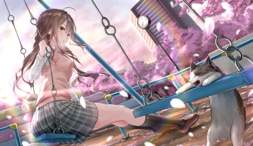 1girl ahoge animal bangs black_legwear blush brown_eyes brown_hair building cat cherry_blossoms commentary_request day eyebrows_visible_through_hair highres kachayori kneehighs loafers long_hair long_sleeves open_mouth original outdoors petals plaid plaid_skirt playground pleated_skirt school_uniform shirt shoes sitting skirt solo sweater_vest swing swing_set tree wavy_hair white_shirt