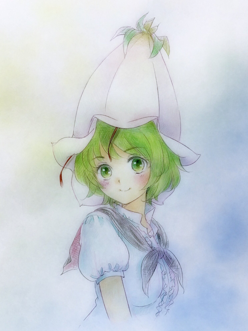 1girl antennae black_cape blush cape collared_shirt commentary_request flower_hat green_eyes green_hair hat highres looking_at_viewer puffy_short_sleeves puffy_sleeves q-bee_(aaru) shirt short_cape short_sleeves smile solo tagme touhou traditional_media upper_body white_hat white_shirt wriggle_nightbug