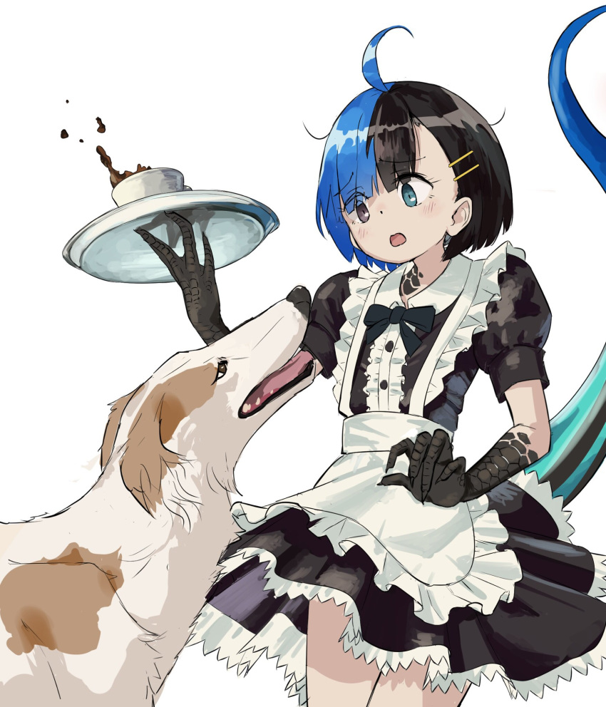 1girl :o alternate_costume apron black_dress black_eyes black_hair black_neckwear blue_eyes blue_hair bow bowtie claws commentary_request cup dog dog_request dress enmaided eyebrows_visible_through_hair hair_ornament hairclip heterochromia highres holding japanese_skink_(kamemaru) kamemaru looking_down maid maid_apron monster_girl multicolored_hair original puffy_short_sleeves puffy_sleeves scared short_hair short_sleeves spilling standing tail teacup tray two-tone_hair waist_apron white_apron