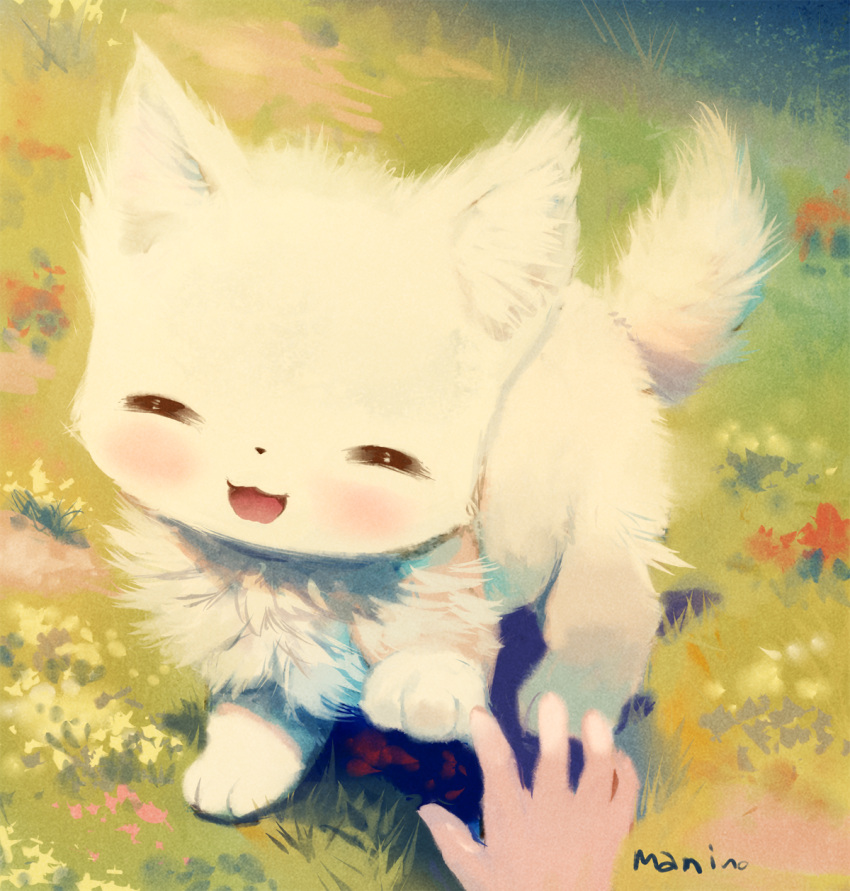 :3 :d blush cat closed_eyes commentary_request grass highres manino_(mofuritaionaka) open_mouth original pov pov_hands signature smile white_cat