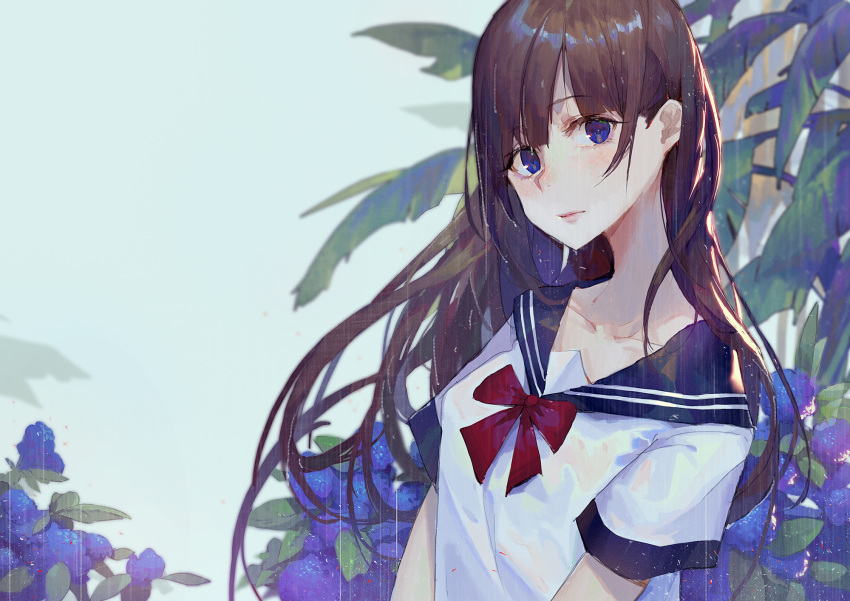 1girl blue_sailor_collar blurry blurry_background brown_hair closed_mouth commentary_request depth_of_field flower highres kuroduki_(pieat) long_hair looking_at_viewer neck_ribbon original purple_flower rain red_neckwear red_ribbon ribbon sailor_collar shirt short_sleeves solo upper_body violet_eyes wet wet_clothes wet_hair white_shirt