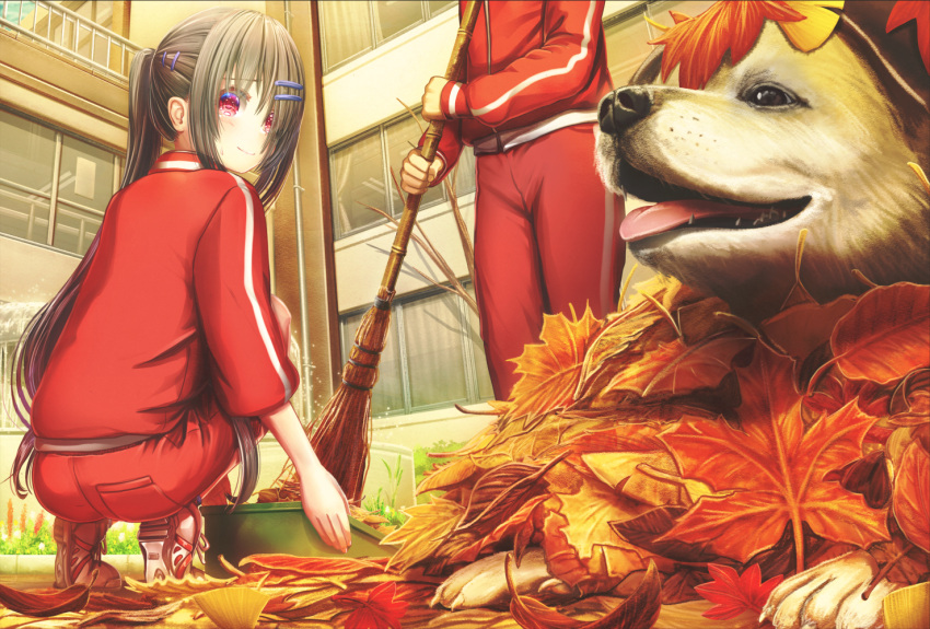 1girl 1other abo_(kawatasyunnnosukesabu) animal autumn_leaves bamboo_broom bangs black_hair blush broom bucket building commentary_request dog hair_ornament hair_over_one_eye hairpin head_out_of_frame holding holding_broom jacket long_hair long_ponytail long_sleeves looking_at_animal original outdoors pants red_jacket red_pants red_track_suit shoes smile sneakers squatting sweatdrop sweeping tongue tongue_out track_jacket track_suit window
