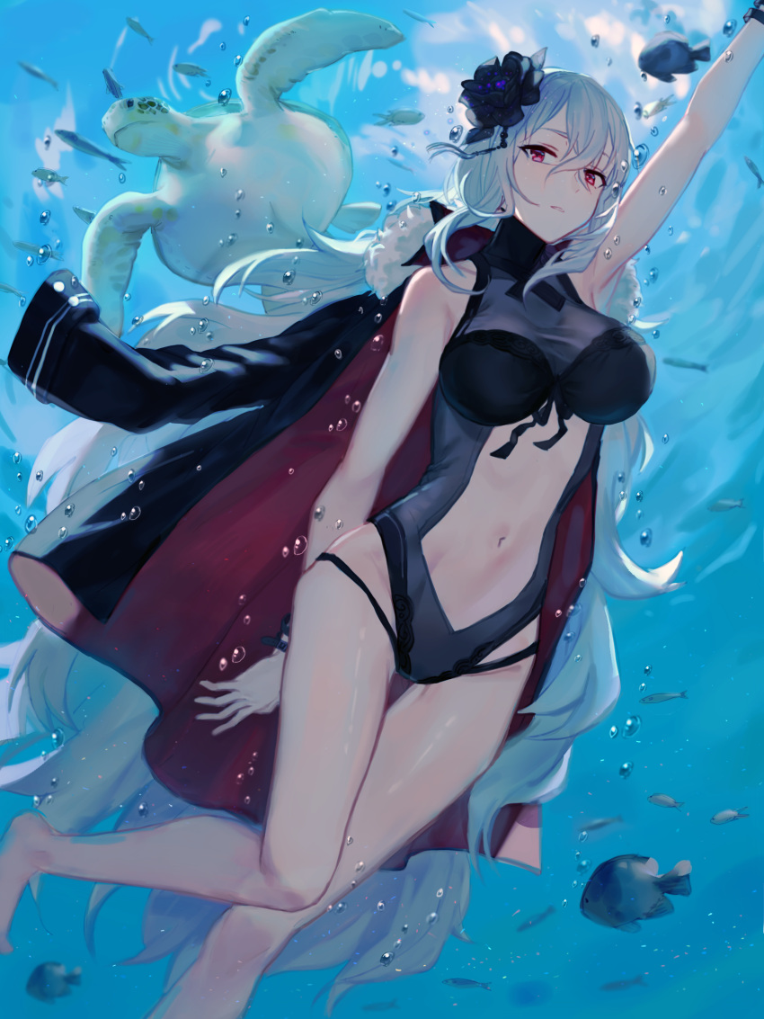 1girl azur_lane bangs barefoot bekko black_swimsuit breasts bubble cleavage day eyebrows_visible_through_hair fish flower graf_zeppelin_(azur_lane) hair_between_eyes hair_flower hair_ornament highres impossible_clothes impossible_swimsuit iron_cross jacket_on_shoulders large_breasts leg_up long_hair looking_at_viewer messy_hair navel navel_cutout one-piece_swimsuit outstretched_arm parted_lips red_eyes sidelocks silver_hair solo swimming swimsuit taut_clothes taut_swimsuit thighs turtle underwater very_long_hair