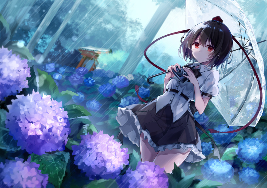 1girl belt black_belt black_hair black_skirt blue_flower blush camera commentary_request dutch_angle flower forest hair_between_eyes hat highres holding holding_camera holding_umbrella hydrangea kisaragi_yuri leaf looking_at_viewer miniskirt nature outdoors petticoat pleated_skirt puffy_short_sleeves puffy_sleeves purple_flower rain red_eyes shameimaru_aya shirt short_sleeves skirt solo standing tassel thighs tokin_hat touhou tree umbrella white_shirt wing_collar