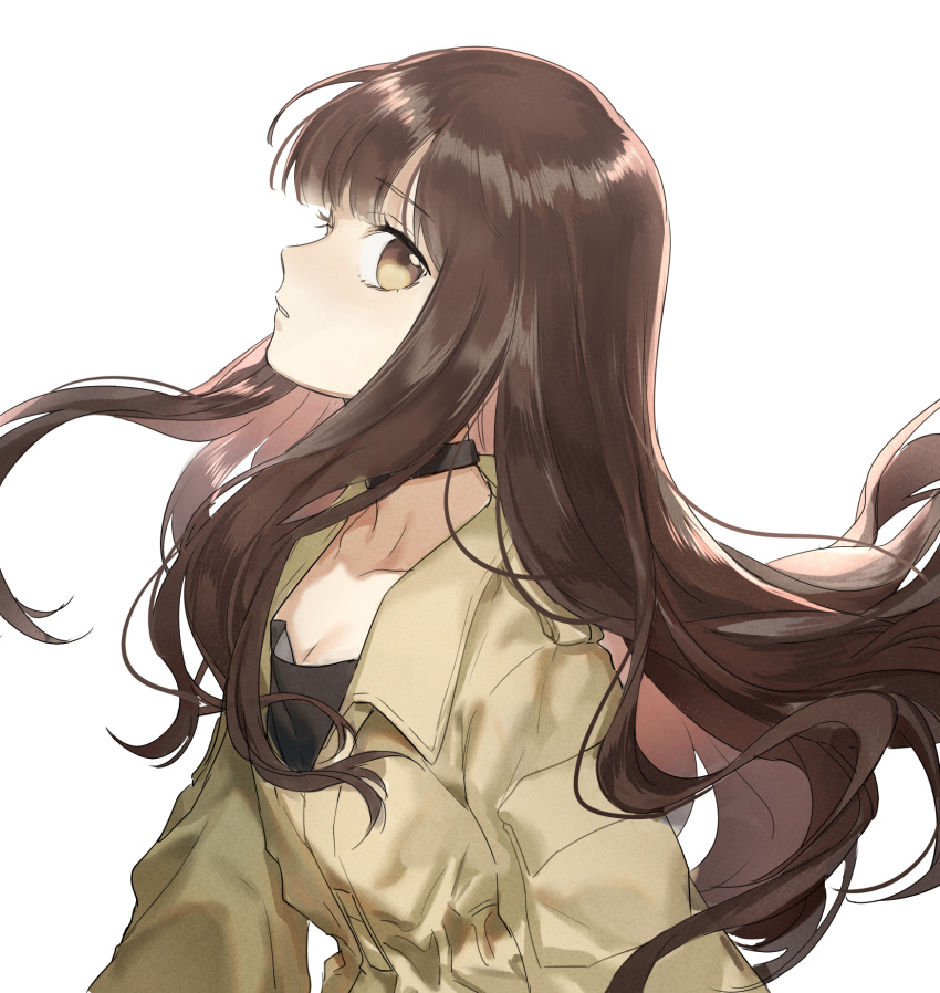 1girl bangs black_shirt blunt_bangs breasts brown_eyes brown_hair choker cleavage collarbone eyebrows_visible_through_hair fate/extra fate_(series) floating_hair from_side head_tilt hellos highres jacket kishinami_hakuno_(female) long_hair looking_at_viewer parted_lips shiny shiny_hair shirt simple_background small_breasts solo upper_body very_long_hair white_background