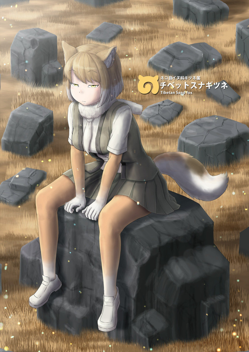 1girl animal_ears arm_support bangs bodystocking character_name closed_mouth day english_text expressionless eyebrows_visible_through_hair fox_ears fox_girl fox_tail fur_scarf grass grey_skirt grey_vest half-closed_eyes highres hkanakakia kemono_friends leaning_forward light_brown_hair long_sleeves looking_at_viewer multicolored_hair necktie open_clothes open_vest outdoors outstretched_arms scarf shirt shoes short_hair short_over_long_sleeves short_sleeves sitting skirt solo stone swept_bangs tail tibetan_sand_fox_(kemono_friends) tsurime two-tone_hair vest white_footwear white_hair white_neckwear white_skirt yellow_eyes