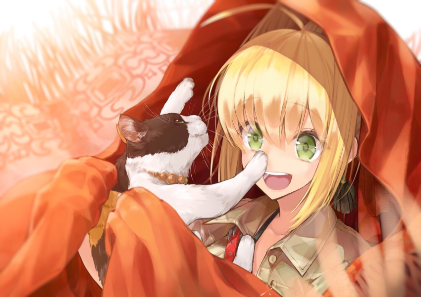 1girl :d animal bangs blonde_hair blurry blurry_background brown_shirt cat cloak collarbone collared_shirt commentary_request depth_of_field eyebrows_visible_through_hair fate/extra fate_(series) green_eyes hair_between_eyes hair_intakes holding holding_animal holding_cat looking_away nero_claudius_(fate) nero_claudius_(fate)_(all) open_mouth orange_cloak round_teeth shirt sidelocks smile solo teeth upper_teeth utayoi_(umakatare)