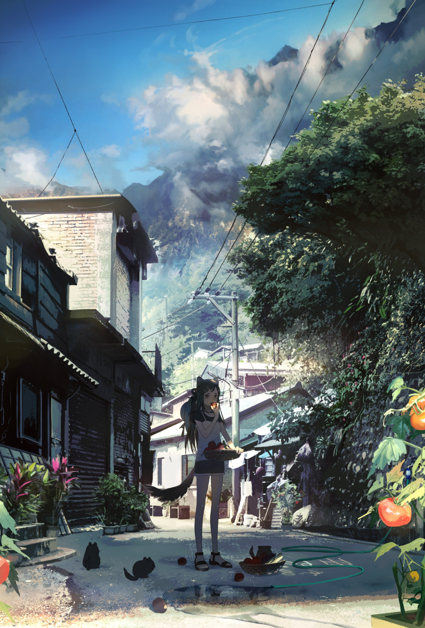 1girl absurdres animal animal_ears basket blue_sky building cat_ears cat_tail clouds eating facing_viewer flower food fruit hair_ornament hairclip hat highres hose houses kukka looking_at_viewer mountain original outdoors plant power_lines road sandals scenery short_shorts short_sleeves shorts sky street tail tank_top telephone_pole undershirt white_tank_top