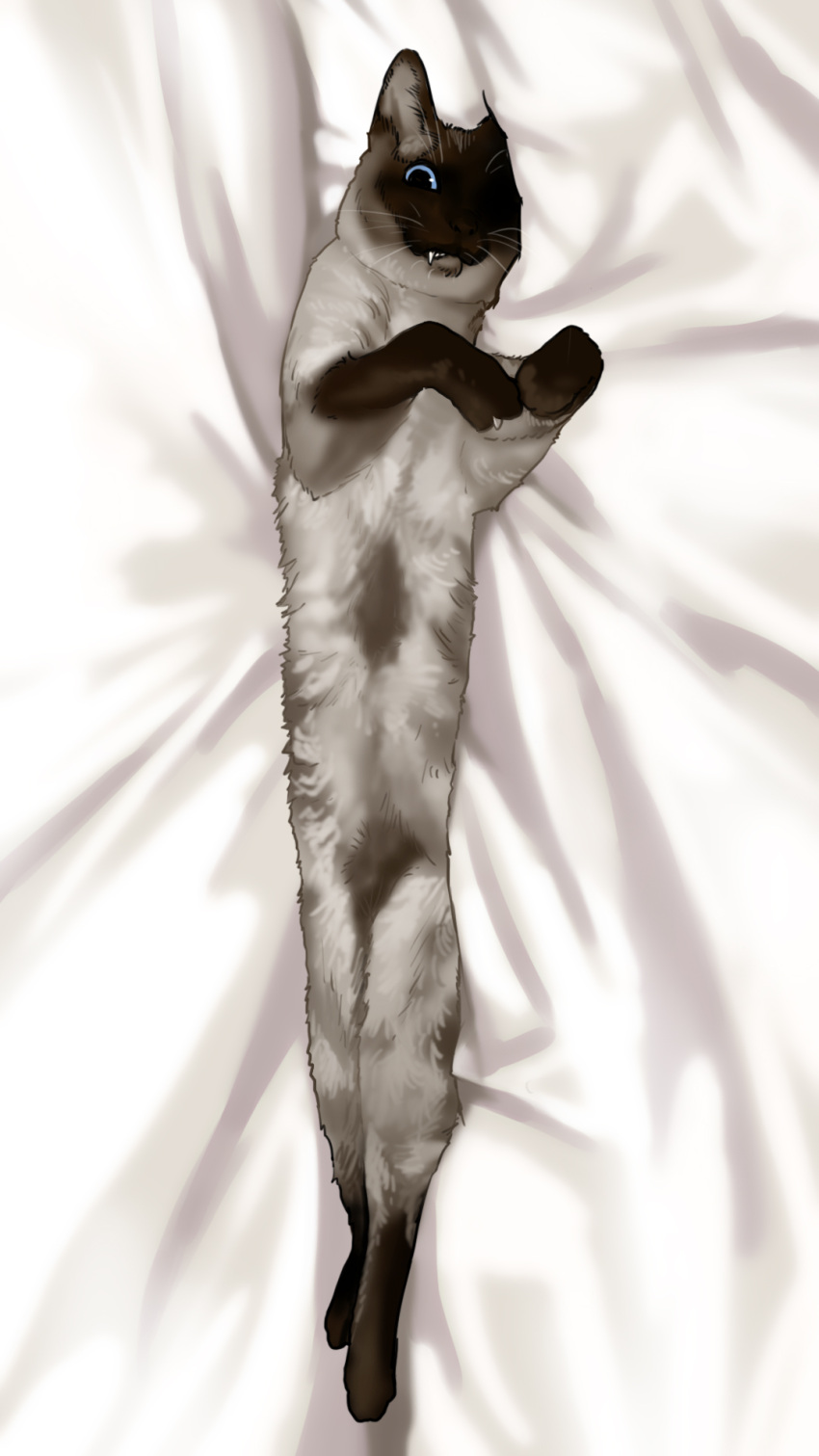as109 blue_eyes cat cat_focus commentary_request dakimakura fang fang_out full_body highres looking_at_viewer lying no_humans on_back original siamese_cat