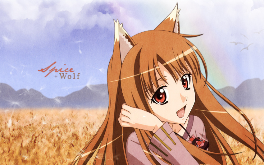 holo spice_and_wolf tagme