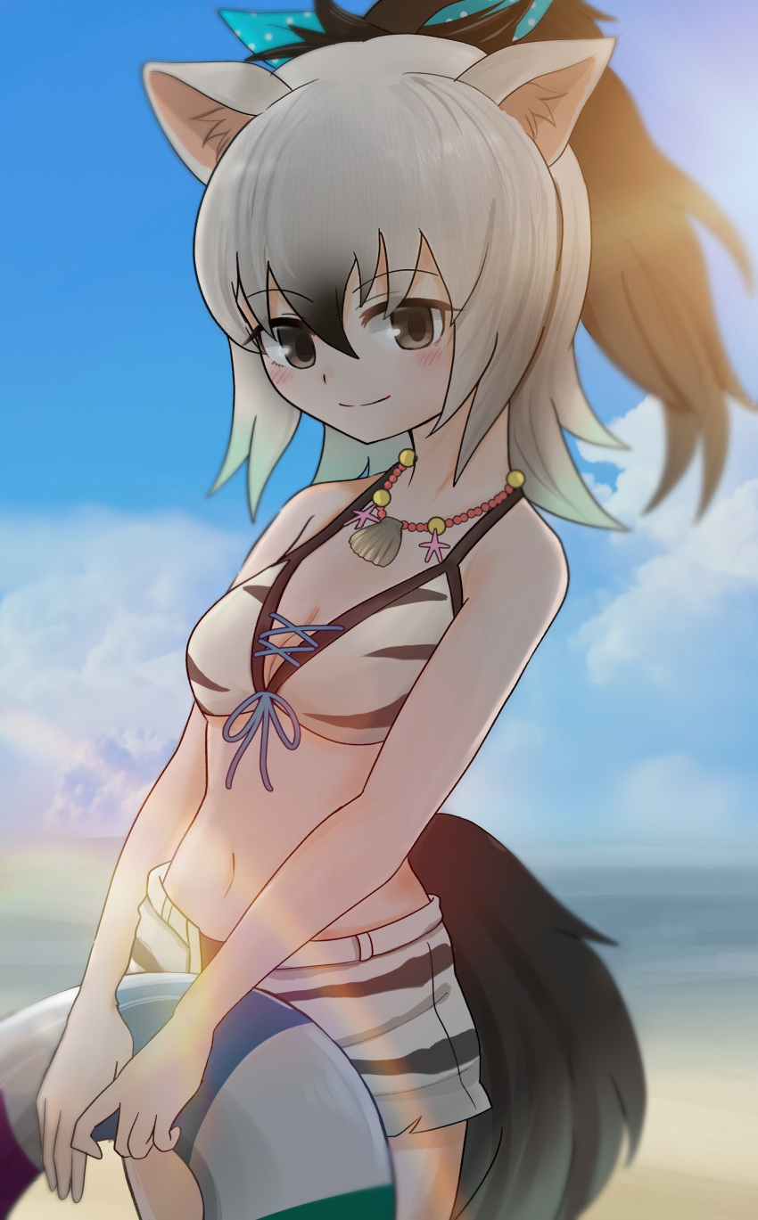 1girl aardwolf_(kemono_friends) aardwolf_ears aardwolf_tail absurdres animal_ears bangs bare_arms bare_shoulders beach bead_necklace beads bikini bikini_shorts black_hair blue_sky bow closed_mouth day eyebrows_visible_through_hair front-tie_bikini front-tie_top grey_hair grey_legwear hair_between_eyes hair_bow high_ponytail highres holding innertube jewelry kemono_friends kemono_friends_festival long_hair looking_at_viewer multicolored_hair navel necklace ocean outdoors ponytail print_bikini print_shorts sand sasahara_(nicoseiga) shell shell_necklace shorts sky smile solo standing stomach swimsuit tail two-tone_hair upper_body water