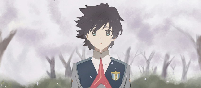 1boy bangs black_hair blue_eyes cherry_blossoms commentary darling_in_the_franxx english_commentary grass highres hiro_(darling_in_the_franxx) looking_at_viewer male_focus military military_uniform necktie nuoki petals red_neckwear short_hair solo tree uniform