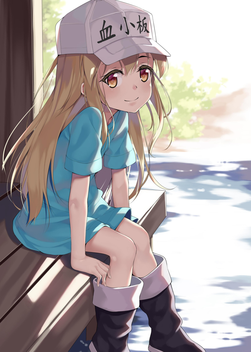 1girl absurdres aoi_(buzhuen444) arm_support black_footwear blue_shirt blurry brown_shorts bush character_name child depth_of_field eyebrows_visible_through_hair flat_cap full_body grey_hat hair_between_eyes hat hataraku_saibou highres light_brown_hair long_hair looking_at_viewer outdoors platelet_(hataraku_saibou) shirt short_sleeves shorts sitting smile sunlight white_hat wooden_floor