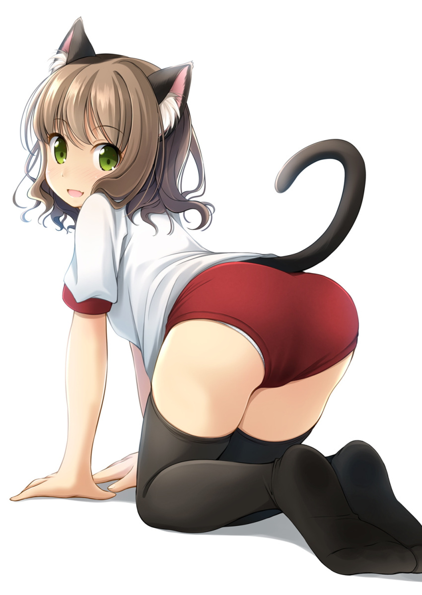 1girl all_fours animal_ear_fluff animal_ears ass black_legwear brown_hair buruma cat_ears cat_tail commentary_request from_behind green_eyes gym_uniform highres looking_at_viewer looking_back medium_hair no_shoes open_mouth original panties panties_under_buruma panty_peek red_buruma shibacha shirt tail thigh-highs underwear white_panties white_shirt