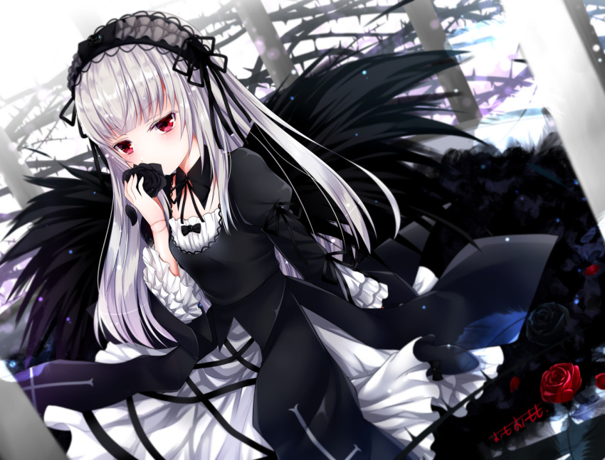 1girl bangs black_dress black_flower black_ribbon black_rose blunt_bangs blush commentary_request covered_mouth doll_joints dress dutch_angle eyebrows_visible_through_hair flower gothic_lolita hairband hand_up holding holding_flower juliet_sleeves lolita_fashion lolita_hairband long_hair long_sleeves looking_at_viewer neck_ribbon omoomomo puffy_sleeves red_flower red_rose ribbon rose rozen_maiden signature silver_hair solo suigintou thorns very_long_hair wide_sleeves