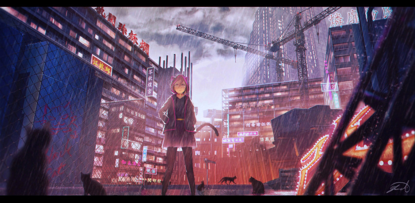 1girl absurdres animal_ears black_legwear black_skirt cat_ears cat_tail chromatic_aberration clouds cloudy_sky collar crane hands_in_pockets highres hood hoodie letterboxed looking_away night original outdoors pantyhose rain red_eyes scenery short_hair sign skirt sky solo tail translation_request yomochi_(y0m0chi)