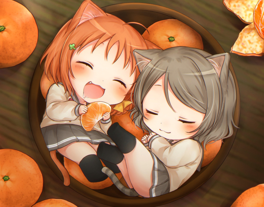 2girls ^3^ ahoge animal_ears black_legwear blush cat_ears cat_tail chibi closed_eyes clover_hair_ornament commentary drooling eating fang food fruit grey_hair grey_skirt hair_ornament highres in_bowl in_container kemonomimi_mode love_live! love_live!_sunshine!! mkzk_nagi multiple_girls neko_nabe open_mouth orange orange_hair orange_slice pleated_skirt pot short_hair skirt sleeping socks tail takami_chika uranohoshi_school_uniform watanabe_you