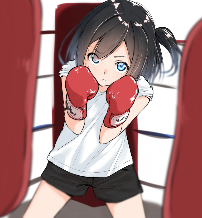 1girl bangs black_hair black_shorts blue_eyes blurry blurry_background boxing_gloves boxing_ring commentary_request depth_of_field eyebrows_visible_through_hair hair_between_eyes hair_over_one_eye hands_up head_tilt highres looking_at_viewer one_side_up original shirt short_shorts short_sleeves shorts solo standing suzunari_shizuku white_shirt yuki_arare