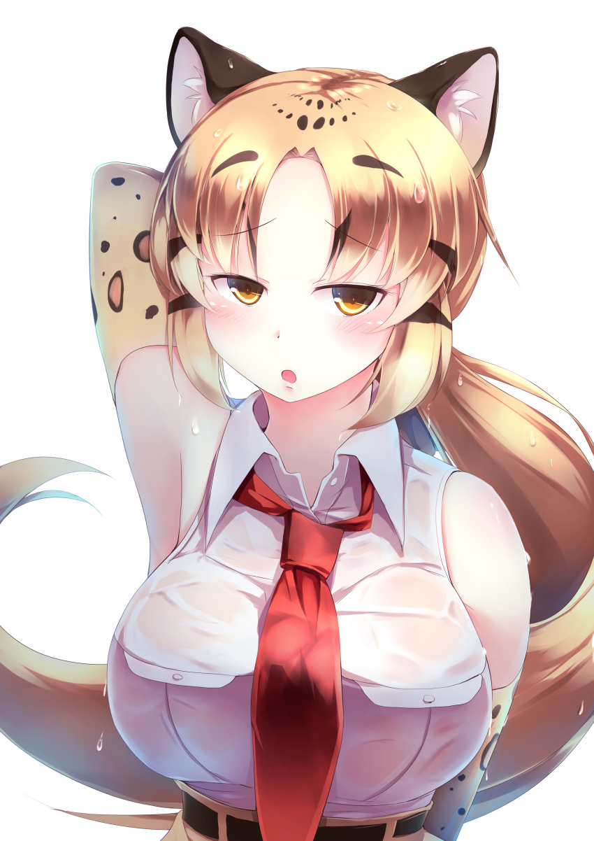 1girl :o absurdres animal_ears animal_print arm_behind_head armpits blonde_hair breasts clouded_leopard_(kemono_friends) commentary_request elbow_gloves eyebrows_visible_through_hair gloves high-waist_skirt highres kanzakietc kemono_friends large_breasts leopard_ears leopard_print long_hair looking_at_viewer necktie print_gloves red_neckwear shirt simple_background skirt sleeveless sleeveless_shirt solo upper_body wet wet_clothes white_background white_shirt yellow_eyes