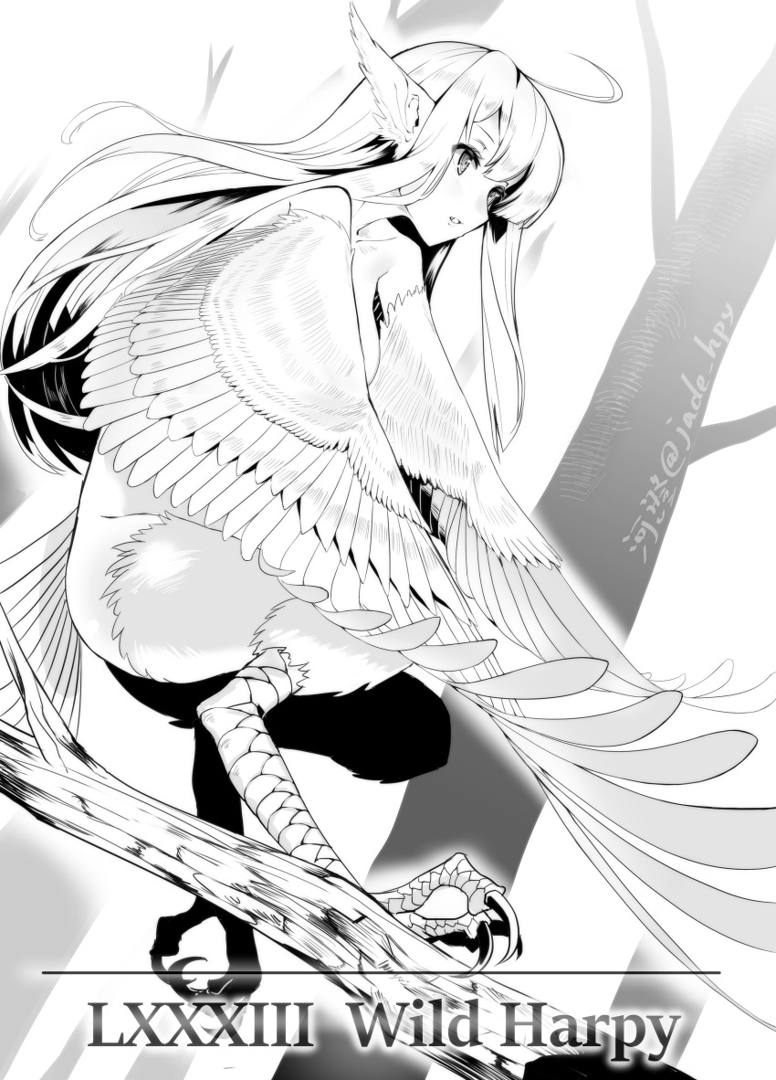 1girl absurdres ahoge animal_ears claws commentary_request flying from_side greyscale harpy highres kawasumi_(tk2k_jade) long_hair monochrome monster_girl nude original parted_lips solo tree twitter_username wings