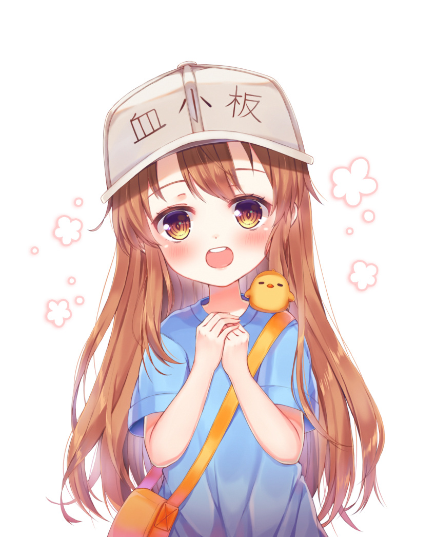 1girl :d bag bangs blue_shirt blush brown_eyes brown_hair character_name clothes_writing commentary_request eyebrows_visible_through_hair fingernails flat_cap foreign_blue grey_hat hands_up hat hataraku_saibou highres long_hair looking_at_viewer open_mouth own_hands_together platelet_(hataraku_saibou) round_teeth shirt short_sleeves shoulder_bag simple_background smile solo teeth upper_body upper_teeth very_long_hair white_background