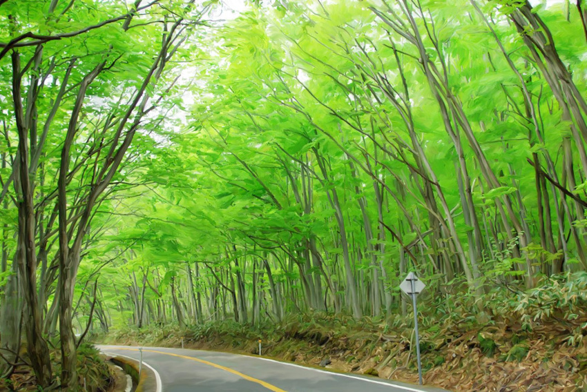 highres nakazawa_noboru nature photorealistic road road_sign scenery sign traffic_sign tree trees