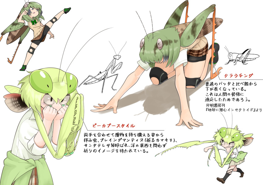 &gt;:o 2girls all_fours antennae bangs bare_arms bike_shorts black_legwear bow bowtie brown_footwear bug character_sheet chibi clenched_hands clothes_around_waist collared_shirt commentary_request evolvingmonkey fighting_stance grasshopper grasshopper_inoue green_nails hands_up highres insect insect_girl kicking kneehighs kneeling leg_up loose_bowtie mantis_akiyama medium_hair multiple_girls nail_polish original plaid plaid_skirt pleated_skirt praying_mantis punching school_uniform shirt shoes short_hair short_sleeves shorts shorts_under_skirt skirt sleeves_rolled_up sprinting_pose sweater_around_waist sweater_vest text_focus translation_request twintails