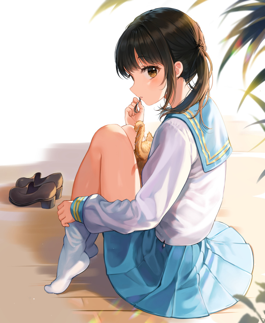 1girl absurdres adjusting_clothes adjusting_legwear bangs black_footwear black_hair blue_sailor_collar blue_skirt brown_eyes cat cat_on_lap commentary_request from_side highres knees_up long_sleeves looking_at_viewer original playing_with_own_hair pleated_skirt sailor_collar school_uniform serafuku shoes_removed sitting skirt socks solo tokkyu_(user_mwwe3558) twintails white_legwear wooden_floor