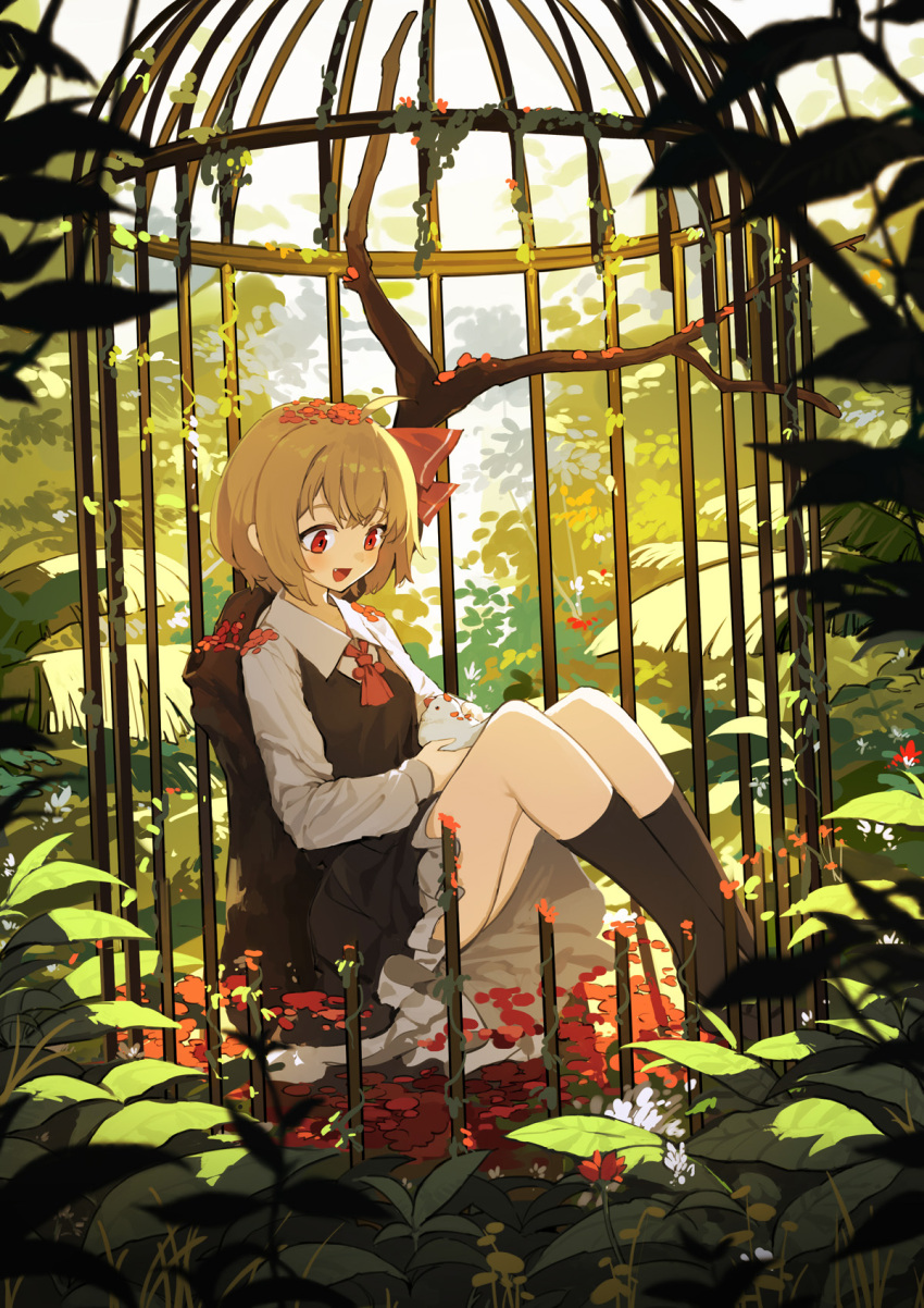 1girl :d ahoge animal ascot ass bangs bird birdcage black_legwear black_skirt black_vest blonde_hair blurry_foreground blush cage commentary_request fang flower hair_ribbon highres holding holding_animal holding_bird in_cage kneehighs long_sleeves open_mouth petals petticoat plant red_eyes red_flower red_neckwear red_ribbon ribbon rumia sh_(562835932) shirt short_hair sitting skirt skirt_set smile solo thighs touhou tree vest white_bird white_shirt